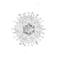 clanlogo